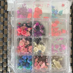 Cajas de Naturaleza muerta