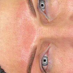 Micropigmentación cejas técnica (Powder Brown)