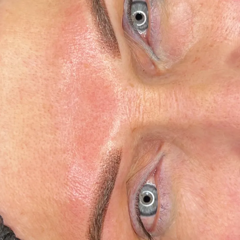 Micropigmentación cejas técnica (Powder Brown)