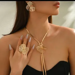Set de accesorios