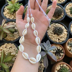 Caracoles clásicos