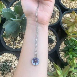 Forget me no