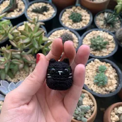 Gatito mini