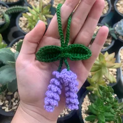 Lavanda
