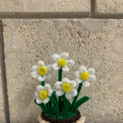 Maceta de margaritas