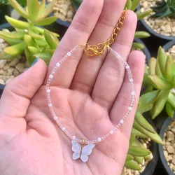 Mariposa
