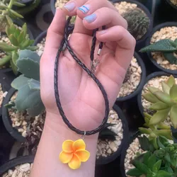 Plumeria