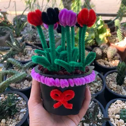 Tulipanes 🌷
