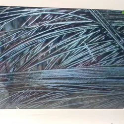 Diagnóstico Capilar