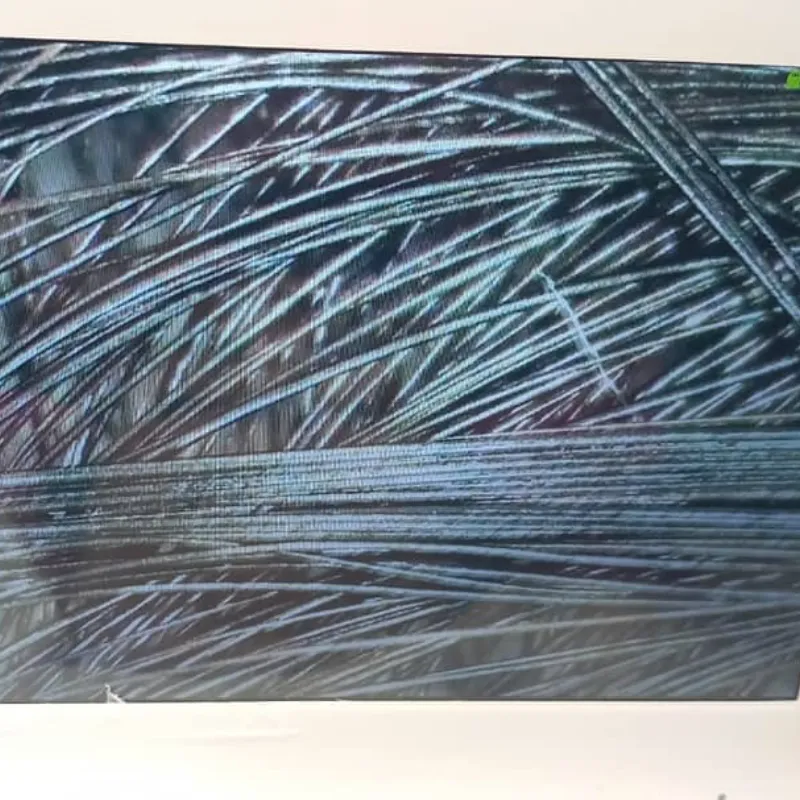 Diagnóstico Capilar