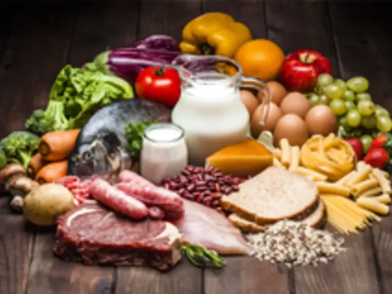 Alimentos, condimentos y sazones 