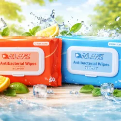 Toallitas húmedas de 80 unidades