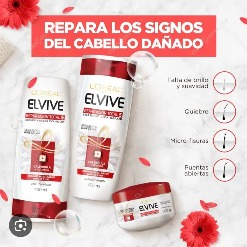 Set reparacion loreal 