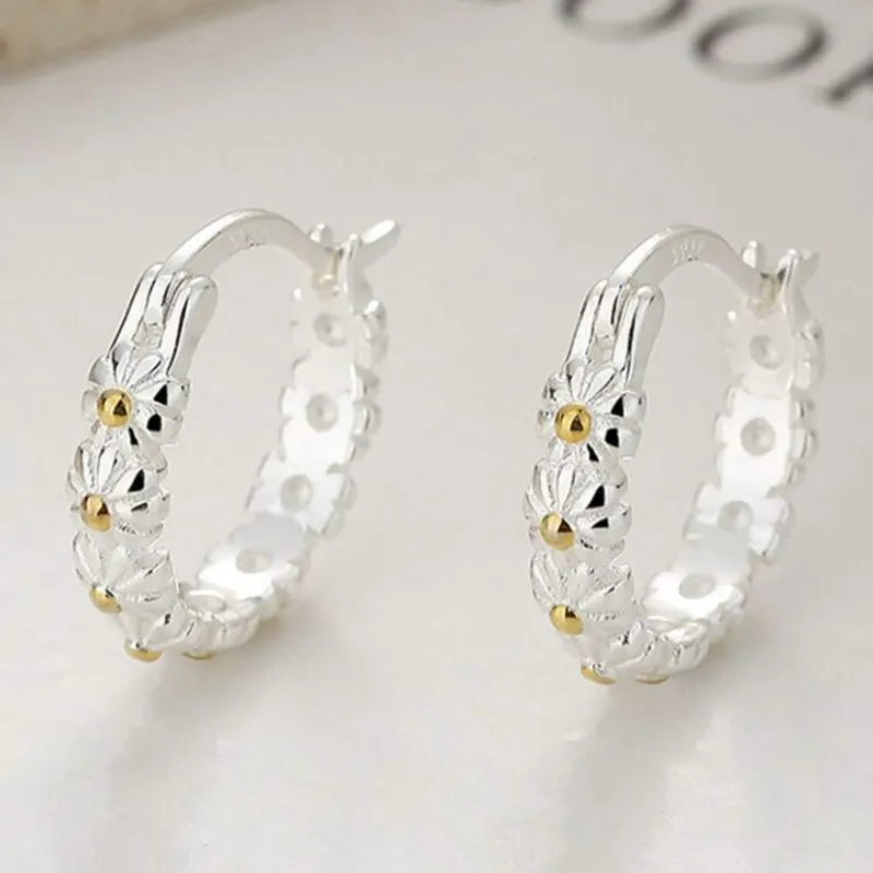 Aretes de Plata 