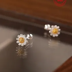 Aretes de Plata 