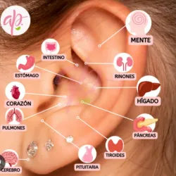 Tratamiento de auriculoterapia 👂😌