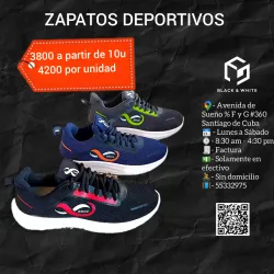 Zapatos deportivos 1