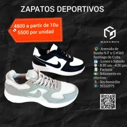 Zapatos deportivos 2