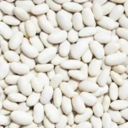  Frijol Blanco