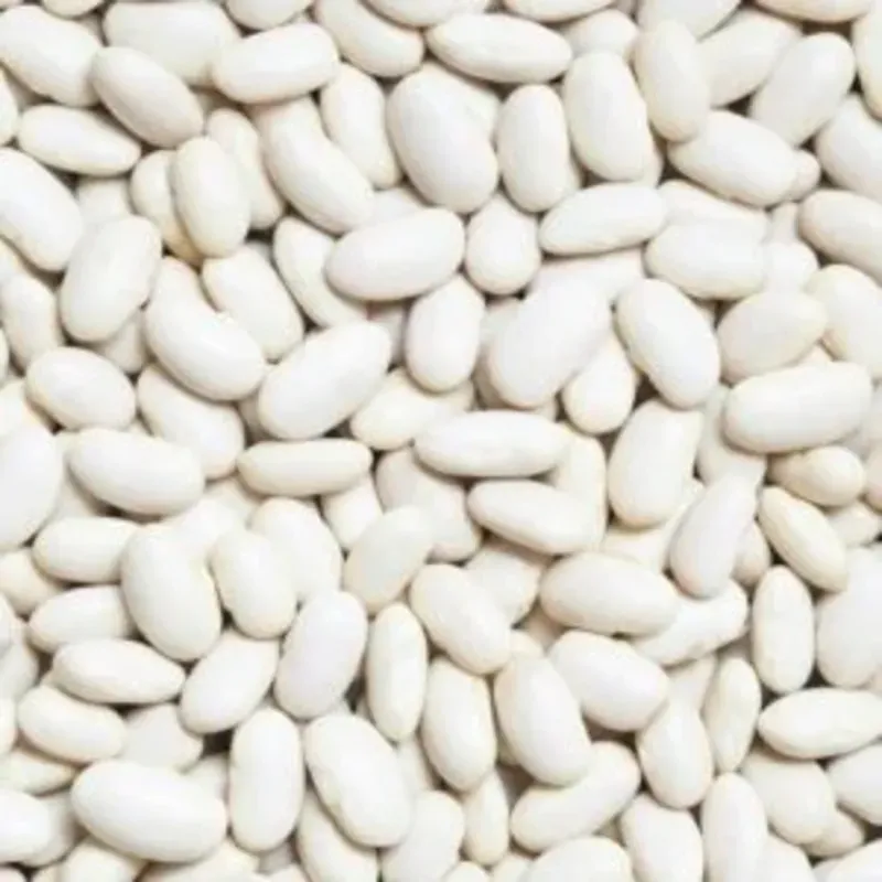  Frijol Blanco