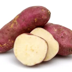Boniato 