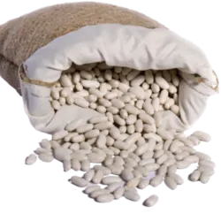  Frijol Blanco