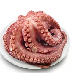 Pulpo