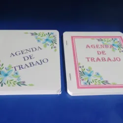 Agenda de Trabajo (C-B/A1360)x1