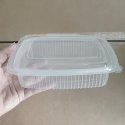 Envase Ovalado c/tapa bisagra 750 ML (C-B/A1402)x1