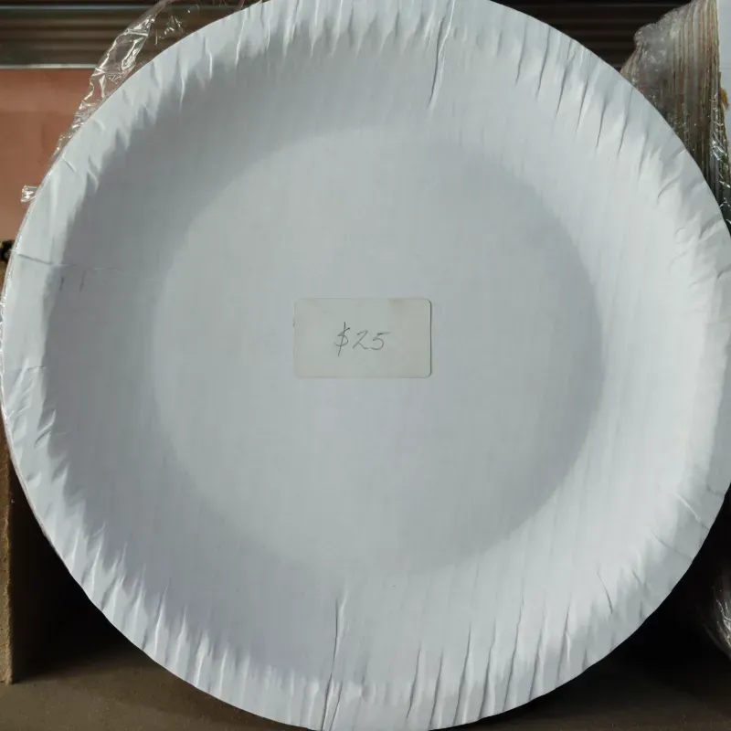 Plato de Cartón 22 cm (C-B/A1263)