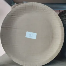Plato de Cartón 23 cm (C-B/A1276)