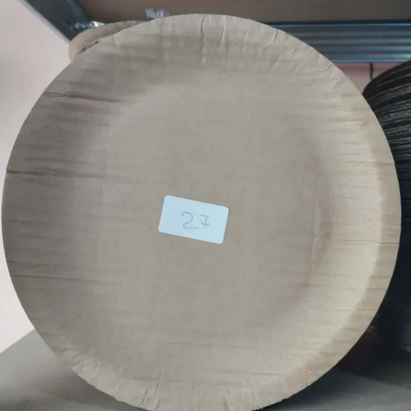 Plato de Cartón 23 cm (C-B/A1276)