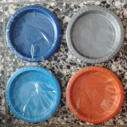 Plato Desechable 17.2/8398 (C-B/A1453)x10