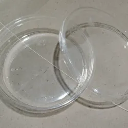 PTE Circular 800 ML (C-B/A1269)