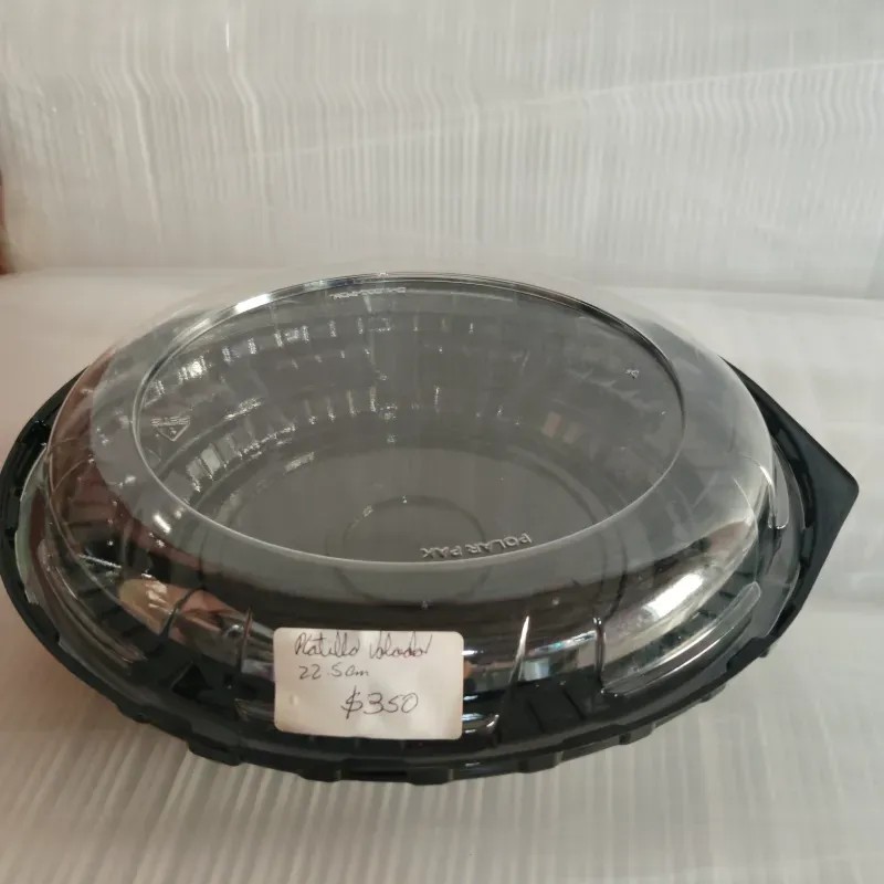 PTE Platillo Volador 22.5 cm (C-B/A1278)