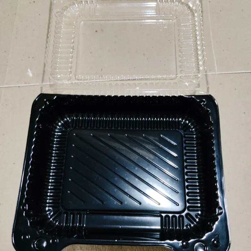 PTE Rectangular Bicolor (C-B/A1270)