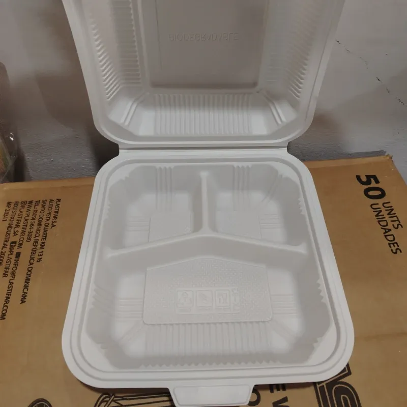 Termopack Plástico C/División 9x9 (C-B/A1489) x1