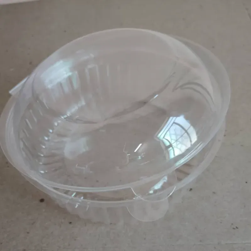 Termopack Circular 550 ML 