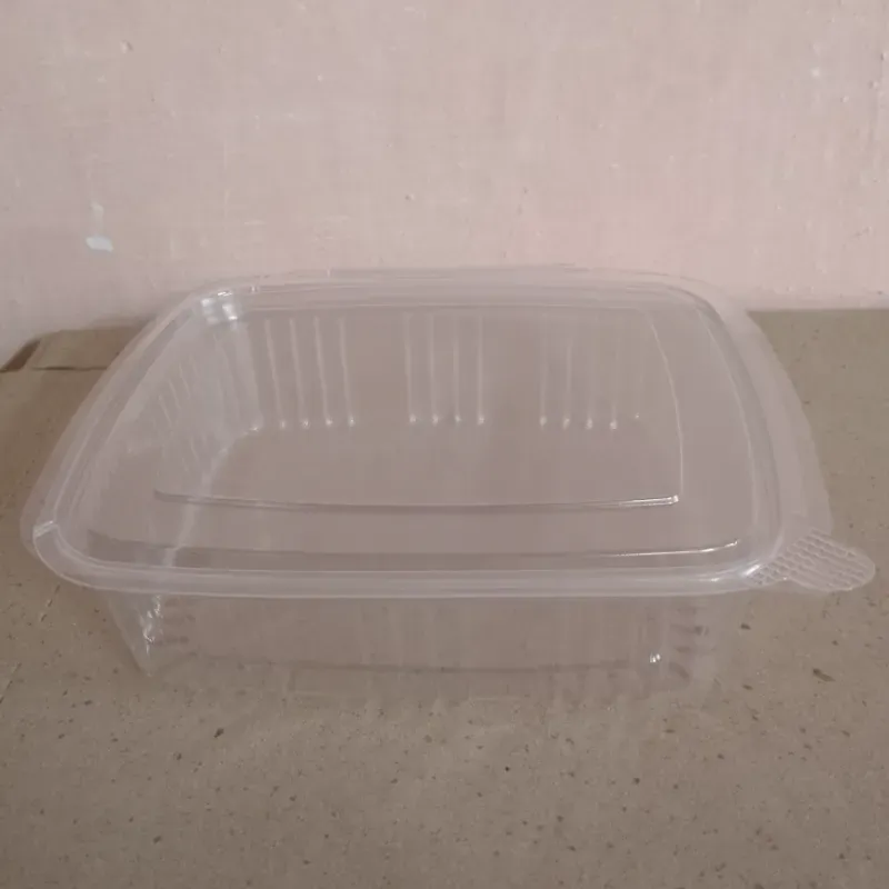 Rectangular CXS 1000ml (C-B/A1245)