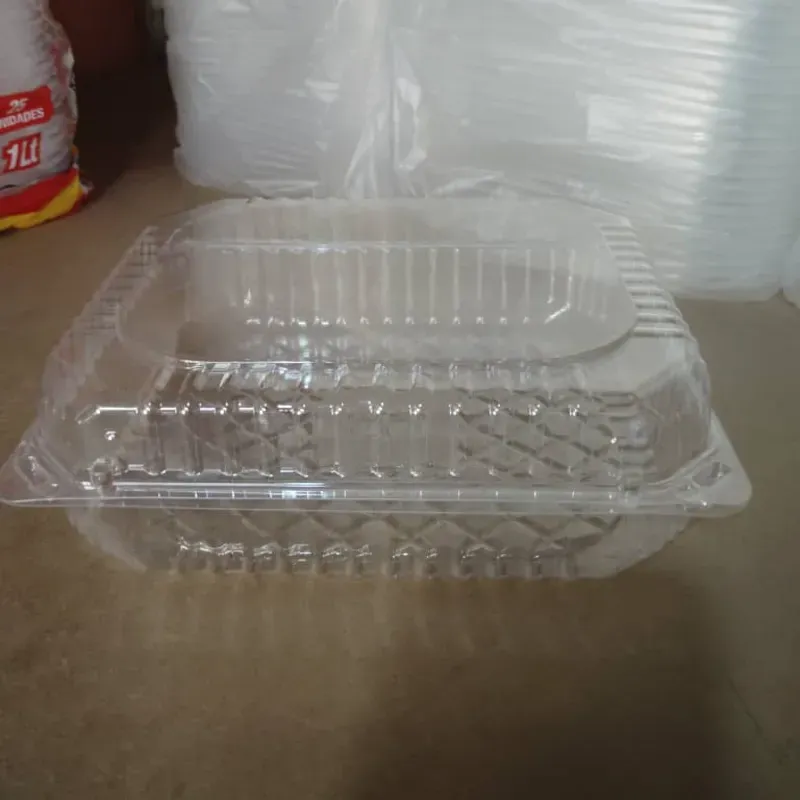 Termopack ReymaTransparente Plástico (C-B/A1286)