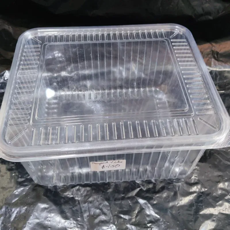 Termopack transparente 4 litros 