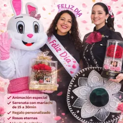 Entrega sorpresa plus 🎉