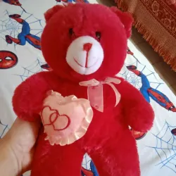 Oso de peluche 
