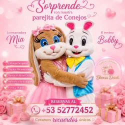 Pareja de conejitos