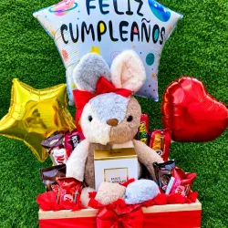 Regalo con peluche