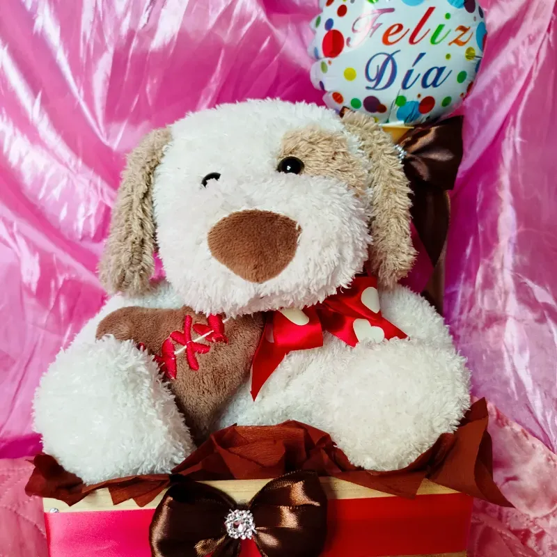 Regalo con peluche y globo 