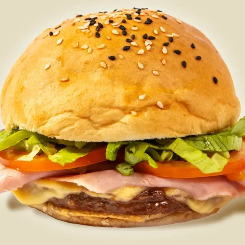 HAMBURGUESA ESPECIAL