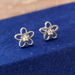 Arete Flor con bisel de plata 