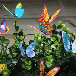 MARIPOSAS DE JARDÍN