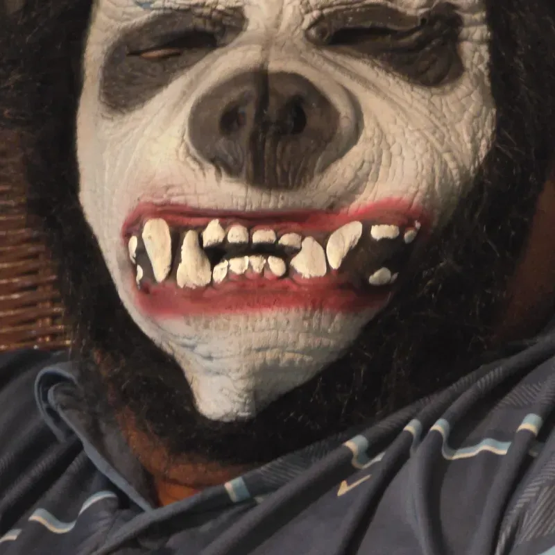Máscara de Lobo enfurecido para Disfraz Halloween 🎃 